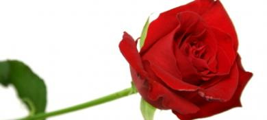 Murder, Violence: the Dark Side of Reality TV