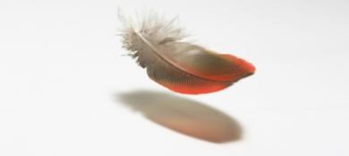 Less Gravity in Canada?