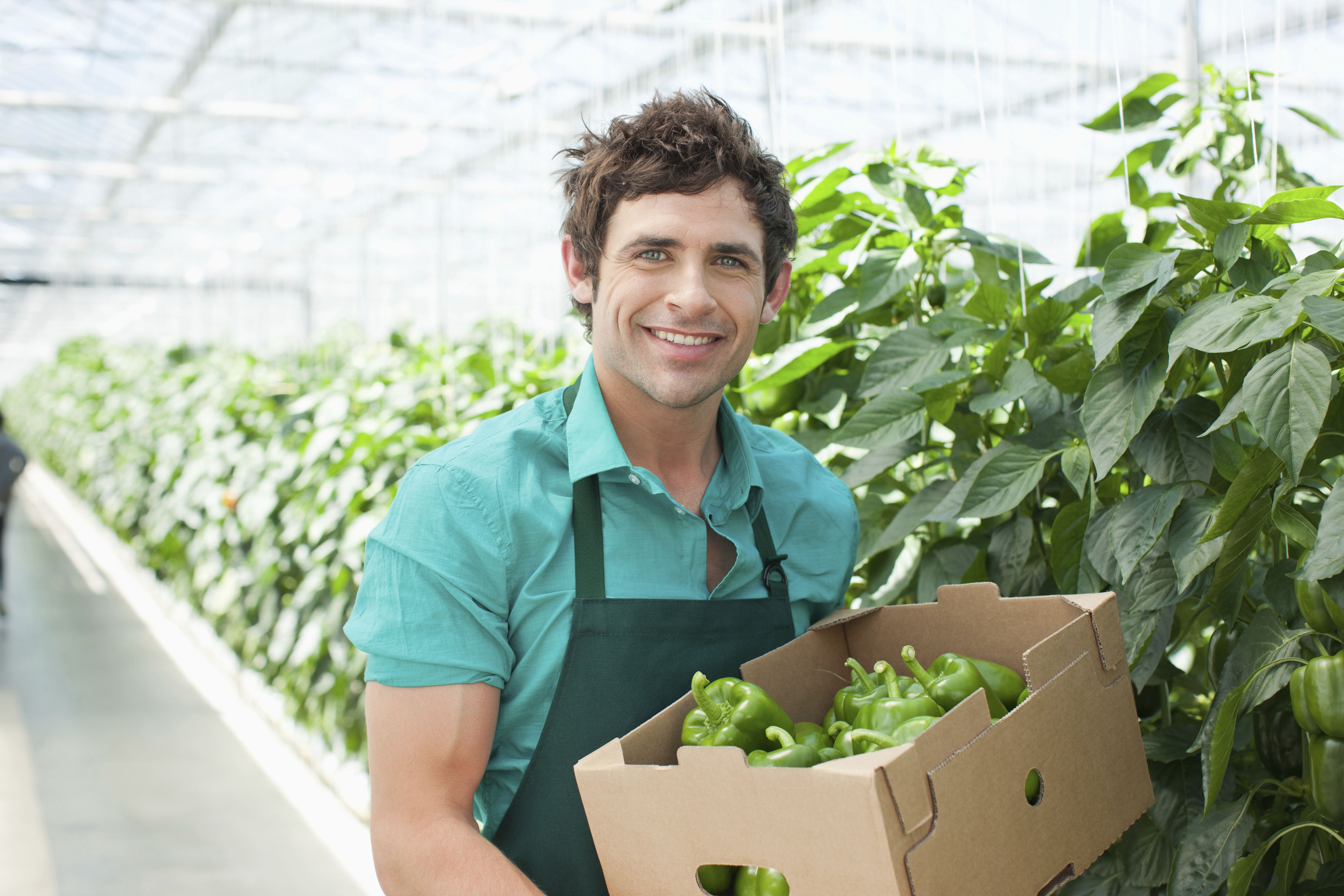 Should teenagers get part-time jobs?