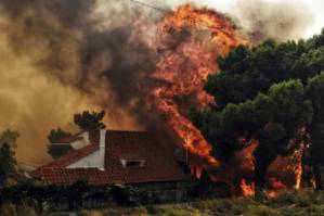 At least 24 dead in Greek wildfires.jpg