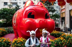 Chinese communities around world welcome Year of the Pig.jpg