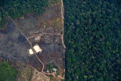 $4 trillion fund holders tell Brazil to halt deforestation.jpg