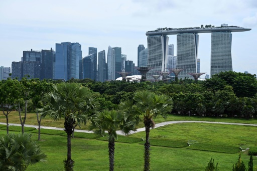 From grey to green: world cities uprooting the urban jungle