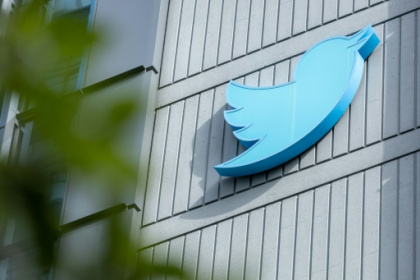 Musk delays Twitter relaunch after fake account frenzy.jpg