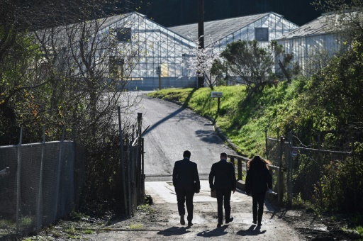 Grief grips Asian Americans after California mass shootings