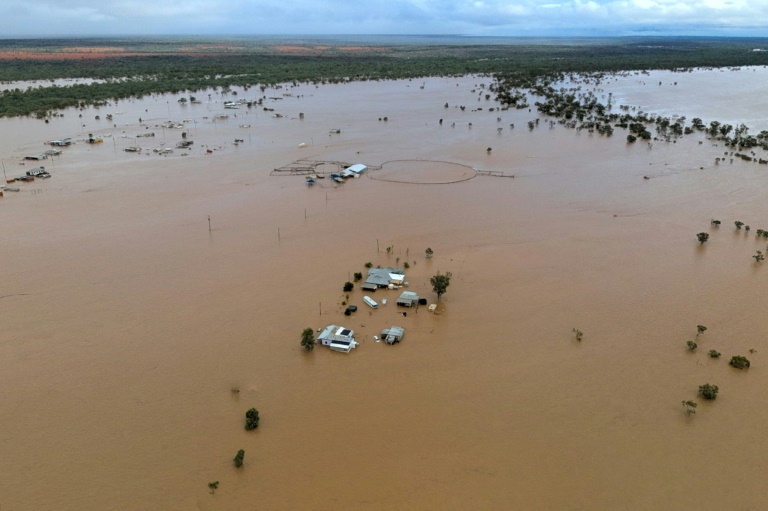 'Heartbreaking' floods swamp Australia's cattle country