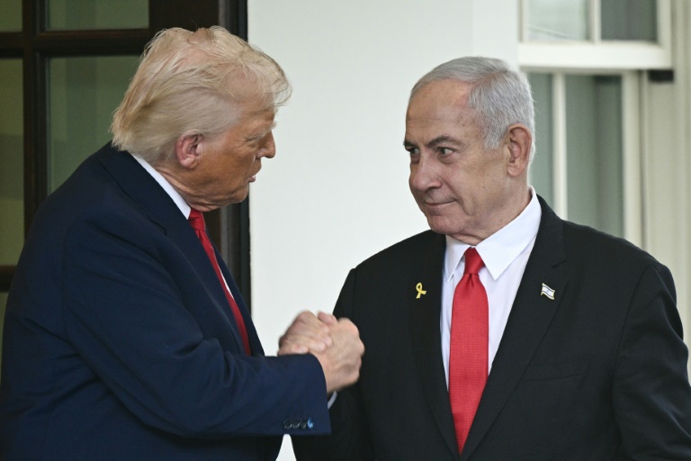 Deference and disputes: how leaders get on with Trump