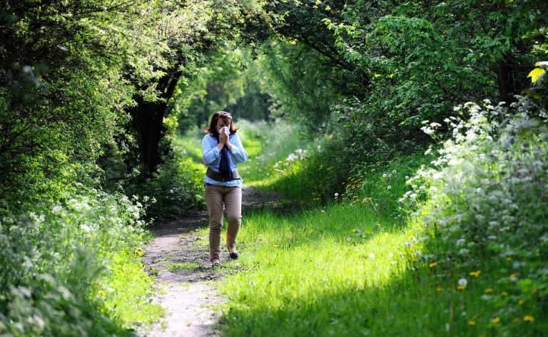 Longer exposure, more pollen: climate change worsens allergies