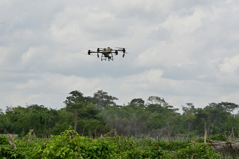 Ivory Coast farmers hope tech tempts jaded youth back to fields