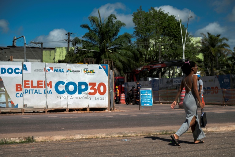 Trees, targets and trillions: what's on the agenda at COP30?