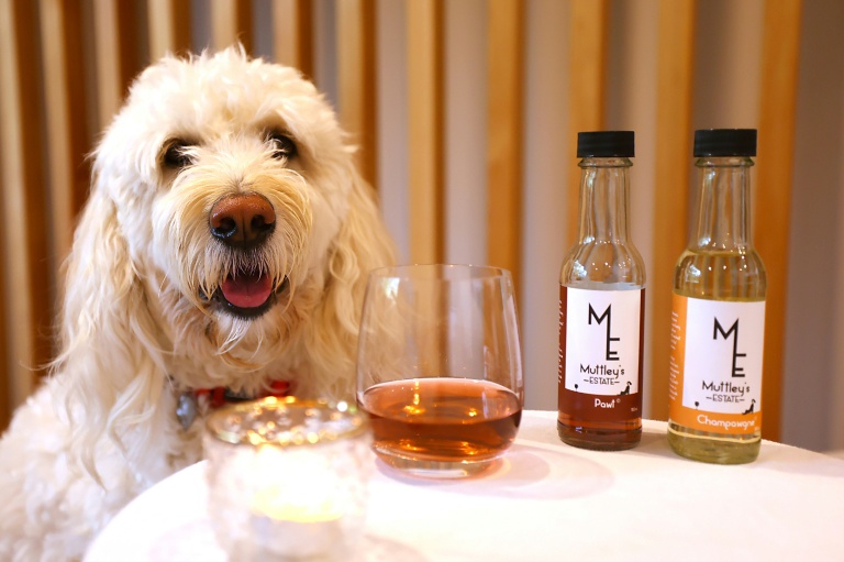 Purrno Noir? New Zealand company sells non-alcoholic wine for pets