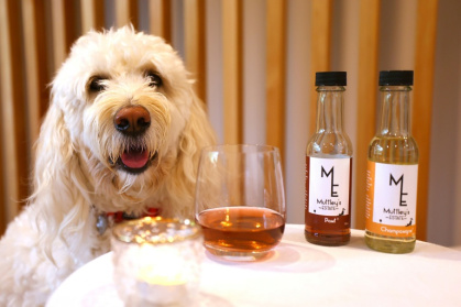 The range of tipples sold by the Wellington-based Muttley's Estate have names like Pawt, Champawgne, Purrno Noir and Sauvignon Bark - BEN STRANG (AFP)