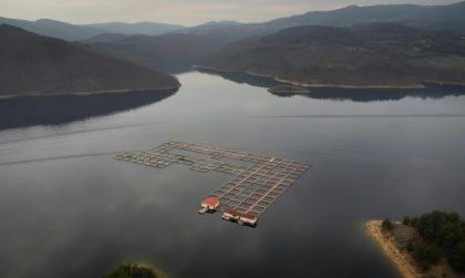 A fish farm in Kardzhali lake in Bulgaria where beluga caviar is produced - Nikolay DOYCHINOV (AFP)