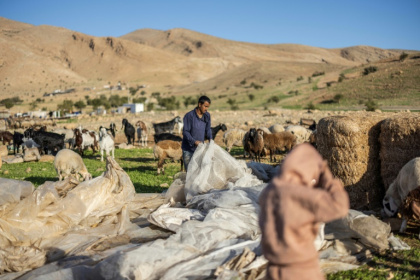 A Bedouin man gathers plastic sheeting as families begin to collect their belongings to leave their homes after harassment from Israeli settlers in Ras Ein al-Auja - ILIA YEFIMOVICH (AFP)