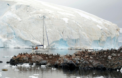 In a recent expedition to Antarctica, new cases of avian flu were discovered in Antarctic cormorants, kelp gulls, Adelie and gentoo penguins, and Antarctic fur seals, according to researcher Victor Neira - Handout (AFP)