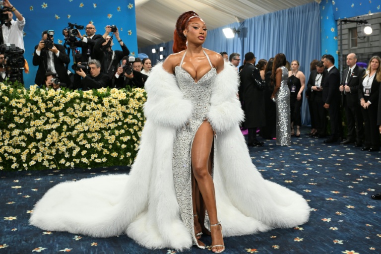 'Wake-up call': Megan Thee Stallion falls ill during Broadway show