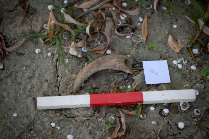 A history museum organised the guided search to teach people how to recognise different finds - Nikolay DOYCHINOV (AFP)